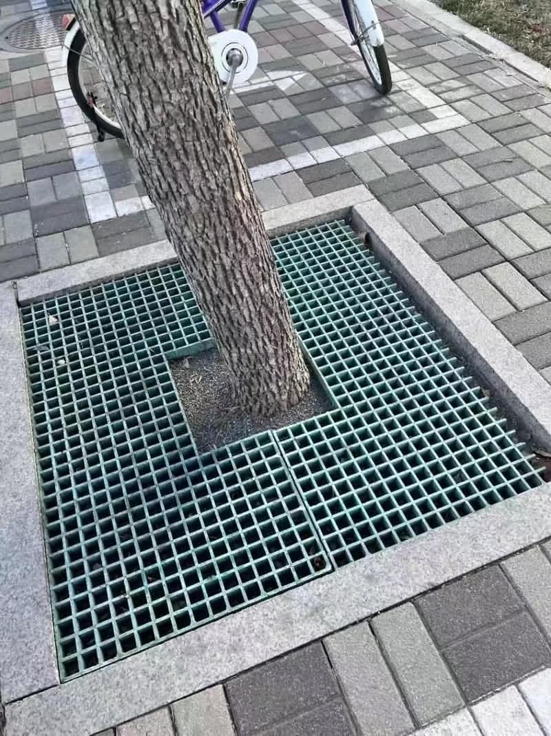 Fiberglass tree grate